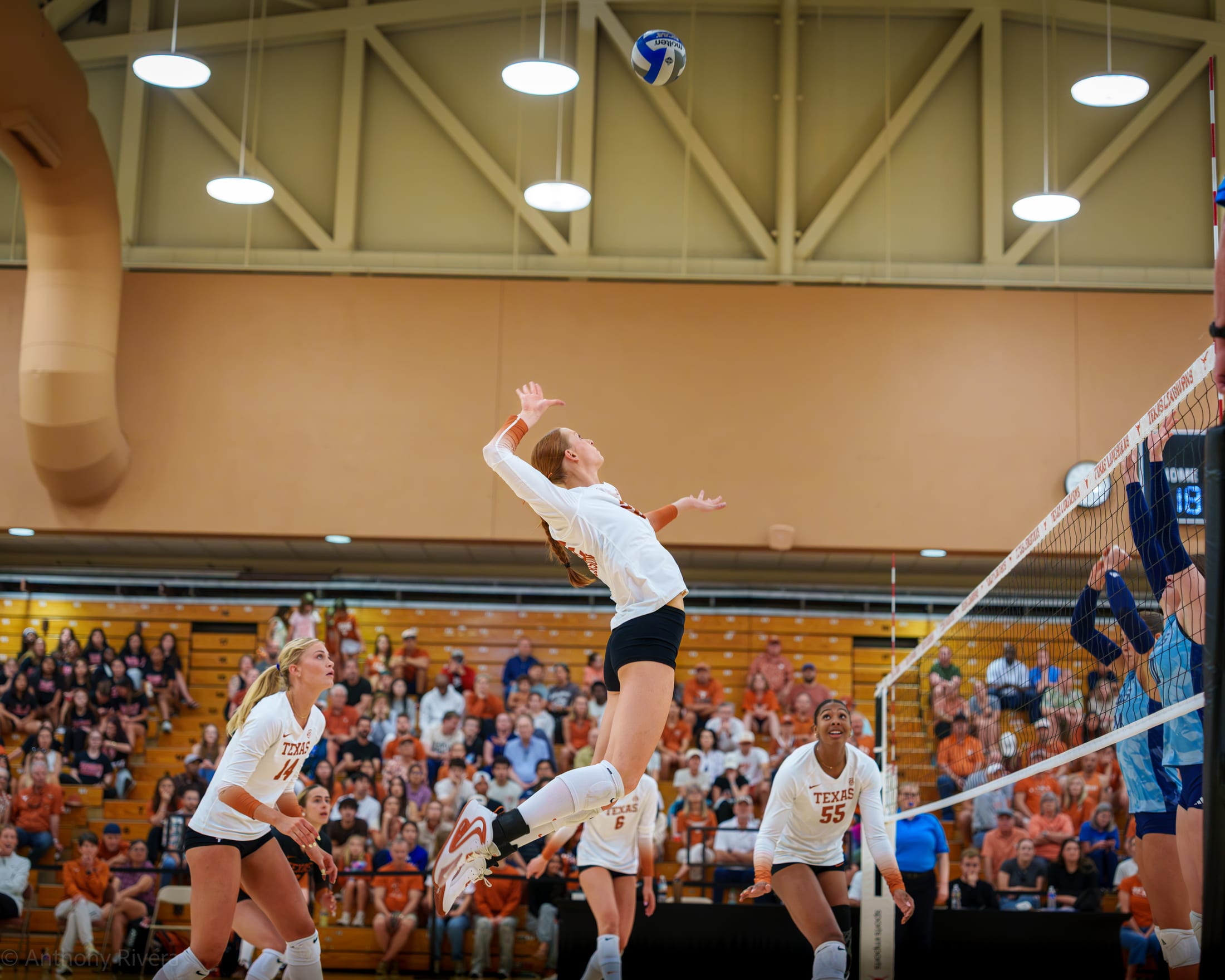 Texas Volleyball Outside Hitter Henley Anderson.
