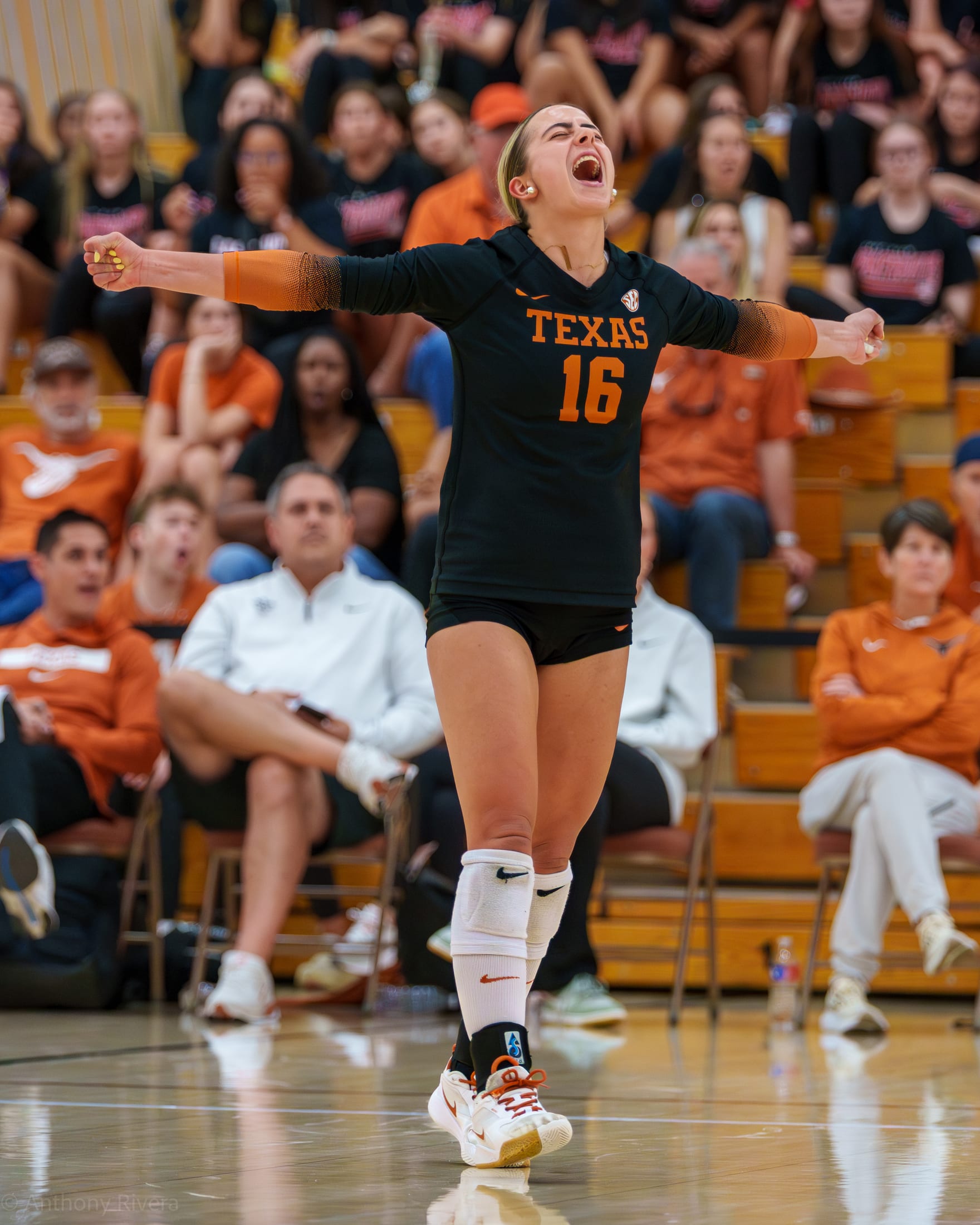UT Volleyball