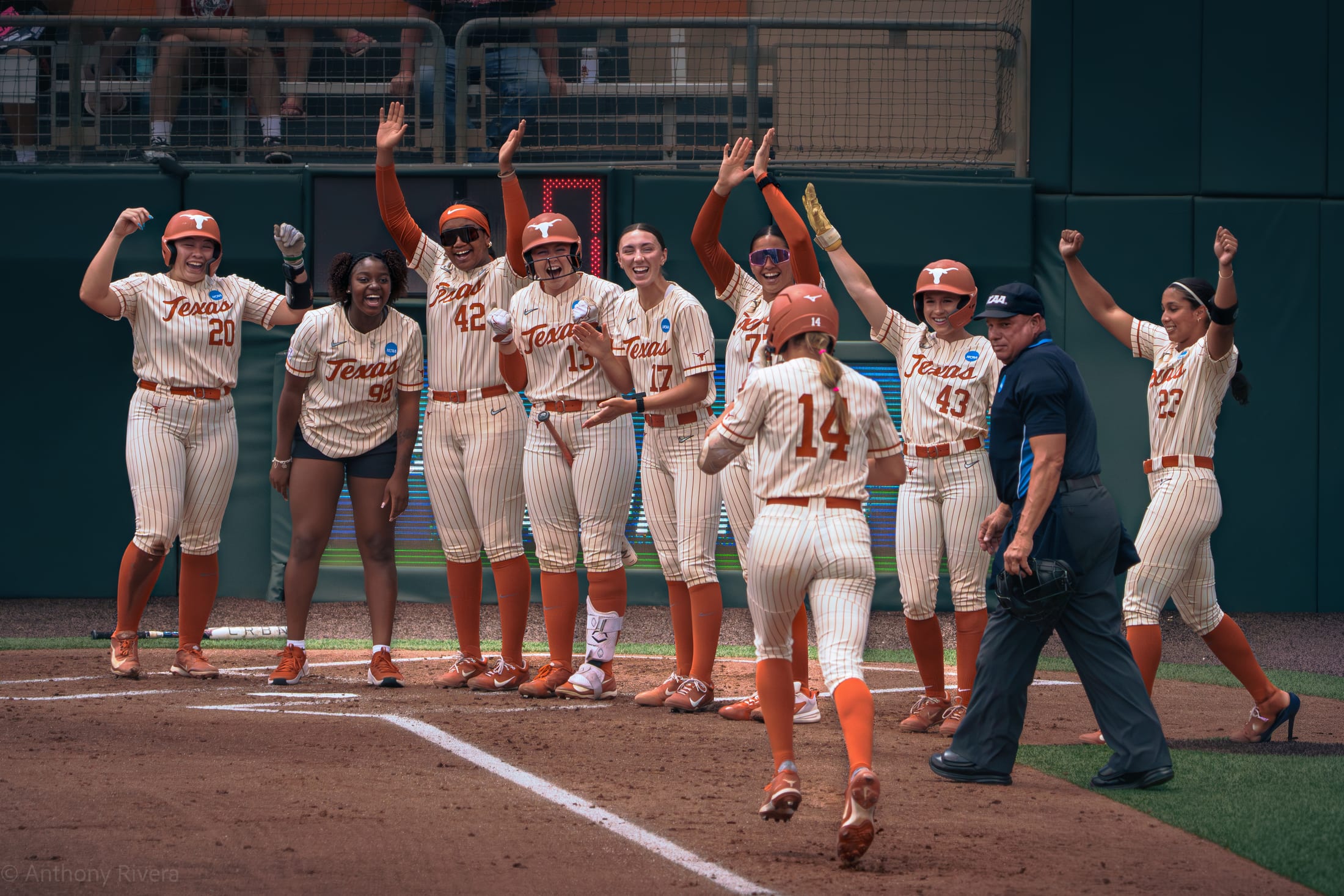 Texas teammates greet Reese Atwood at home plate after a home run at McCombs Field.