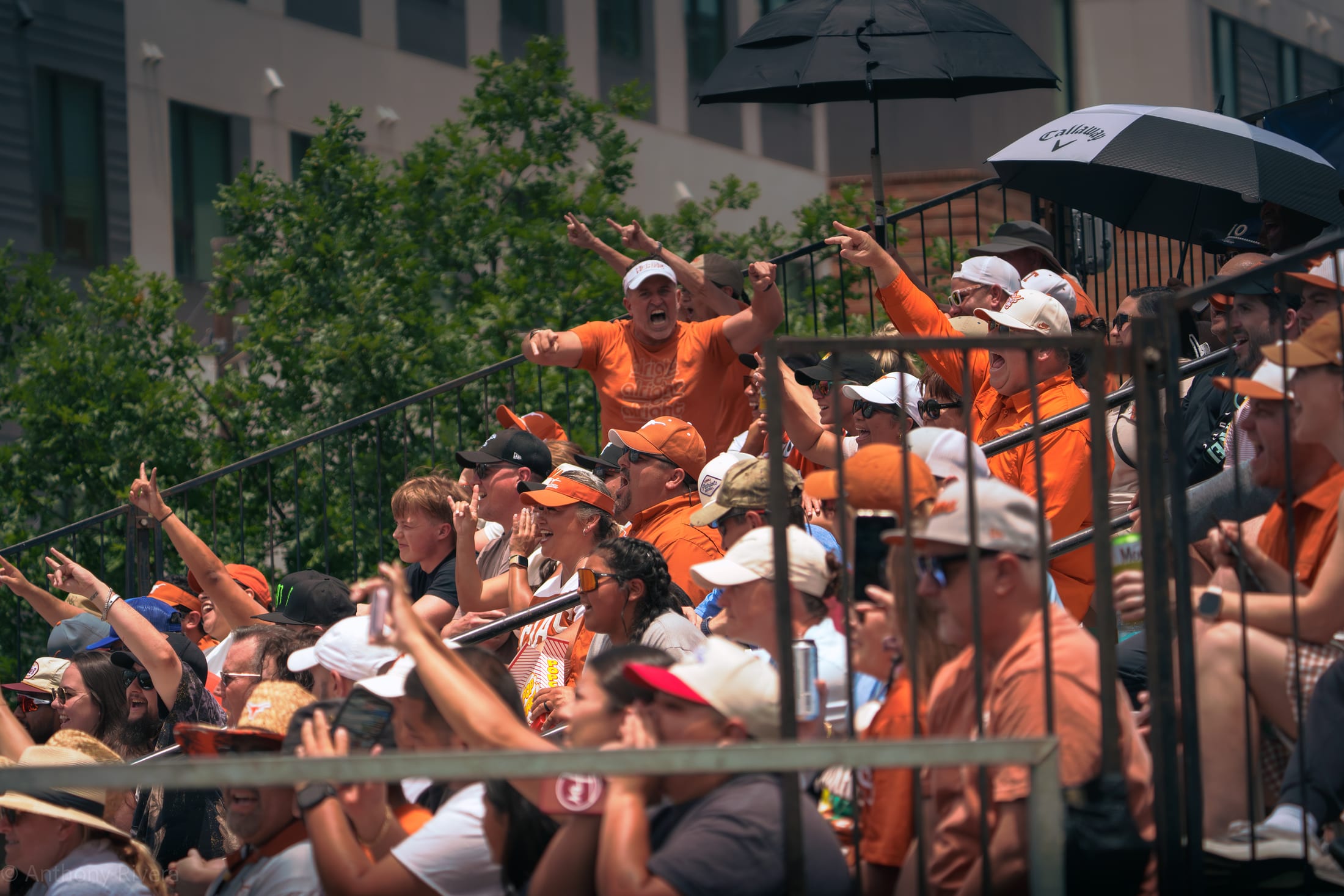 Texas Softball fans celebrates after a win.