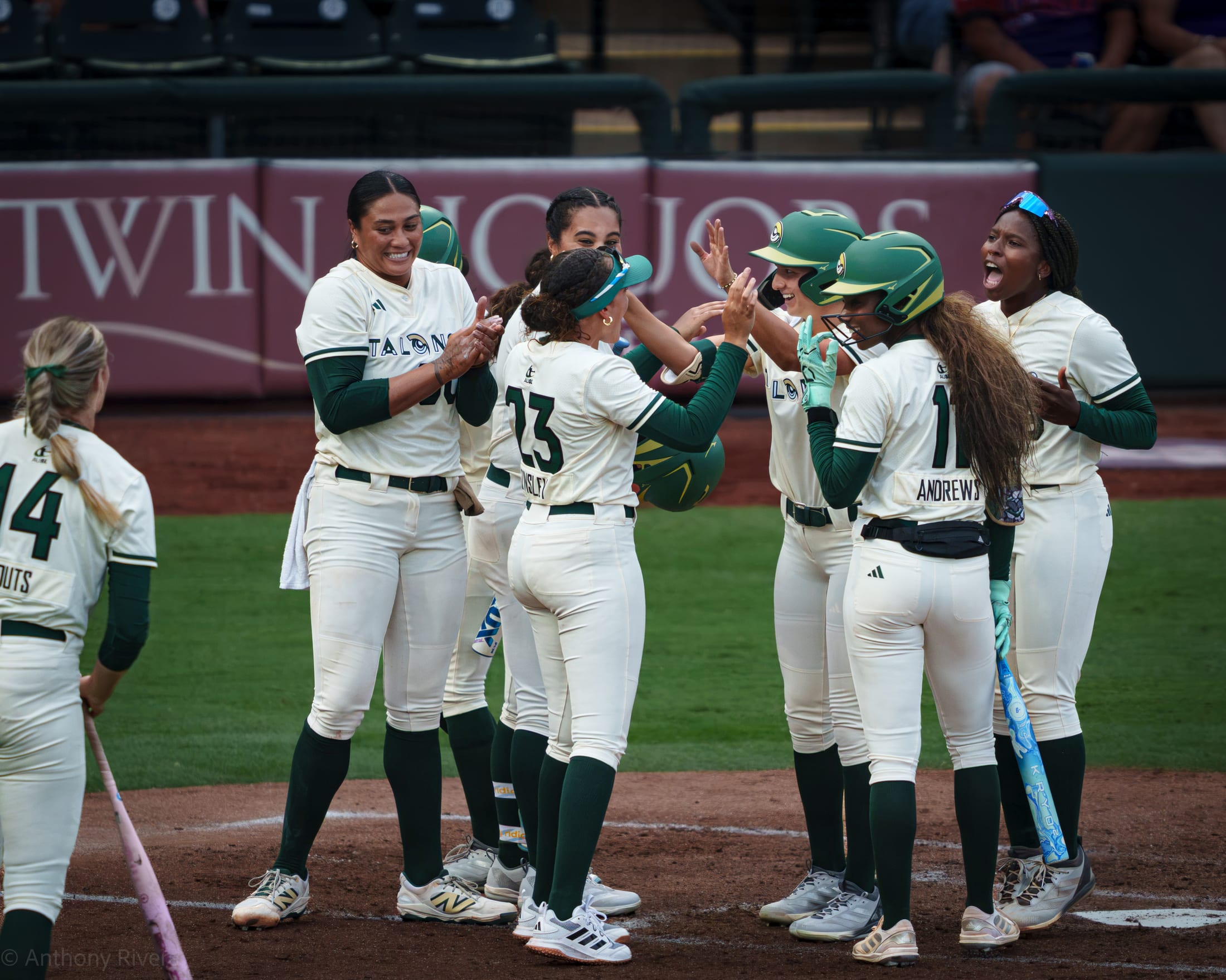 Utah Talons celebrate at the plate.