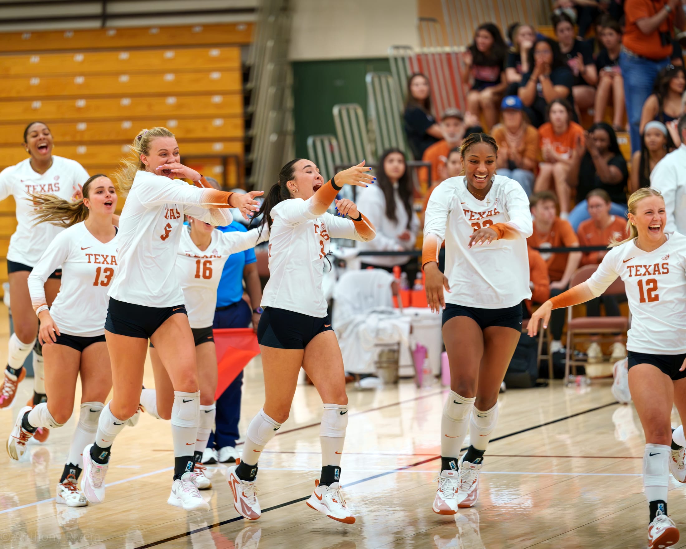 Texas Volleyball celebrates Spring win against the Rice Owls.