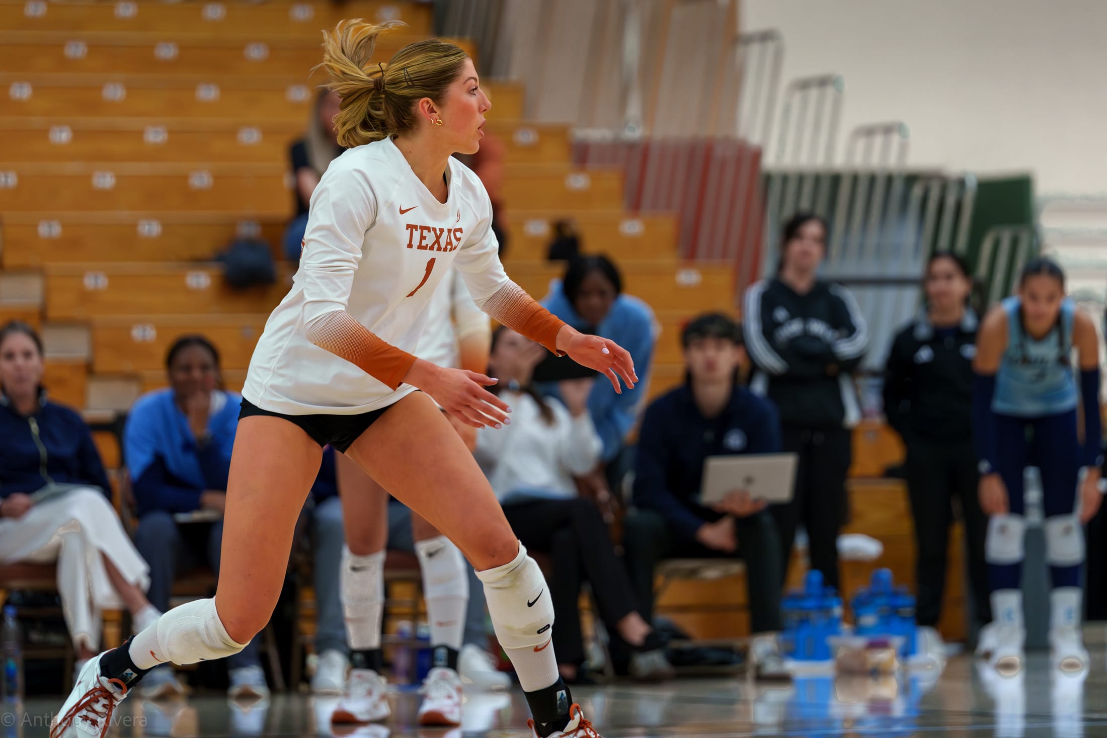 Texas setter Ella Swindle